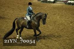 21YN_70054 thumbnail