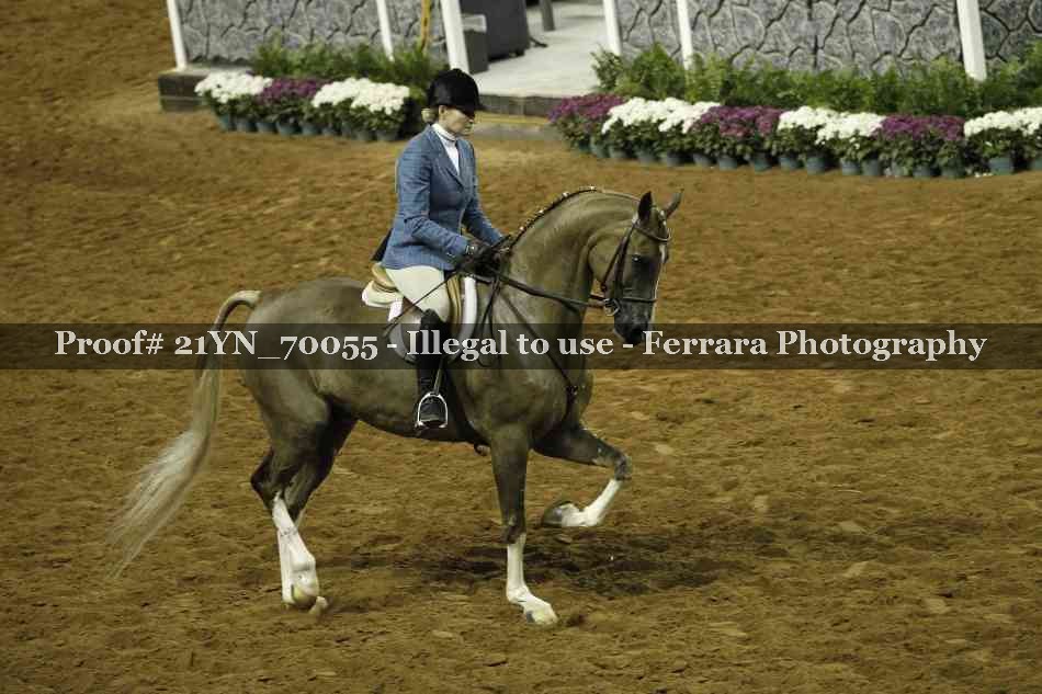 Proof Number 21YN_70055