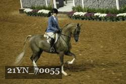 21YN_70055 thumbnail