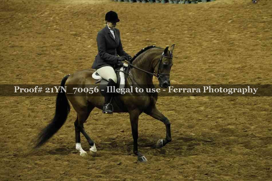 Proof Number 21YN_70056