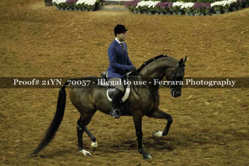 Proof Number 21YN_70057