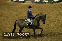 21YN_70057 thumbnail