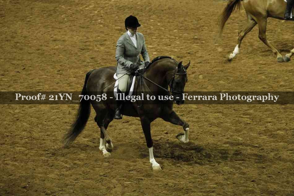Proof Number 21YN_70058