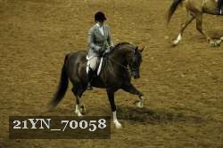 21YN_70058 thumbnail