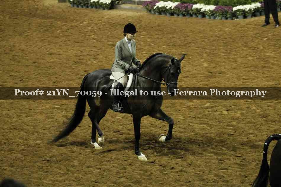 Proof Number 21YN_70059