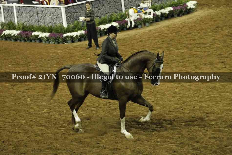 Proof Number 21YN_70060