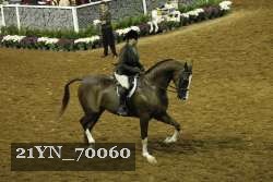 21YN_70060 thumbnail