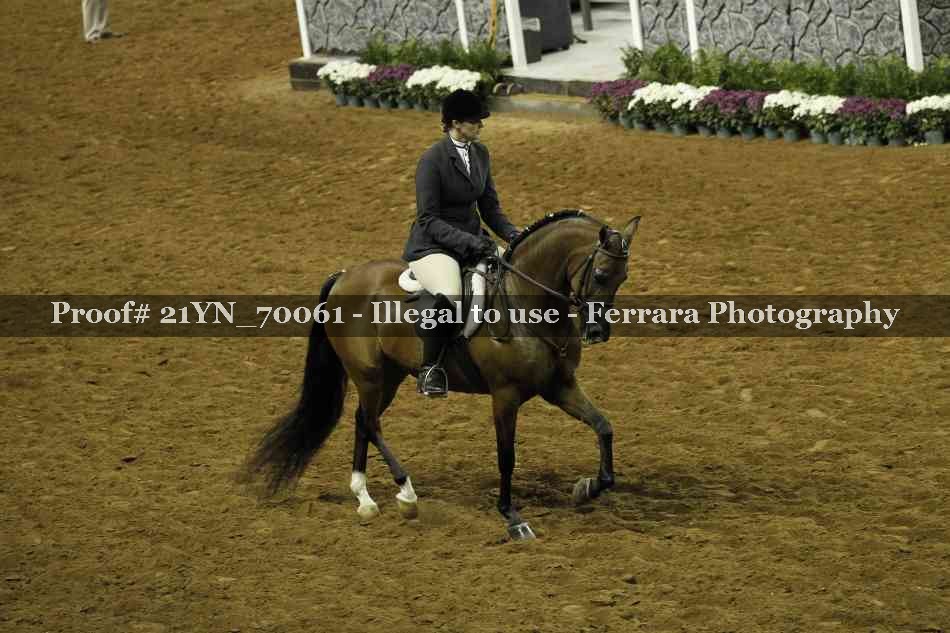 Proof Number 21YN_70061