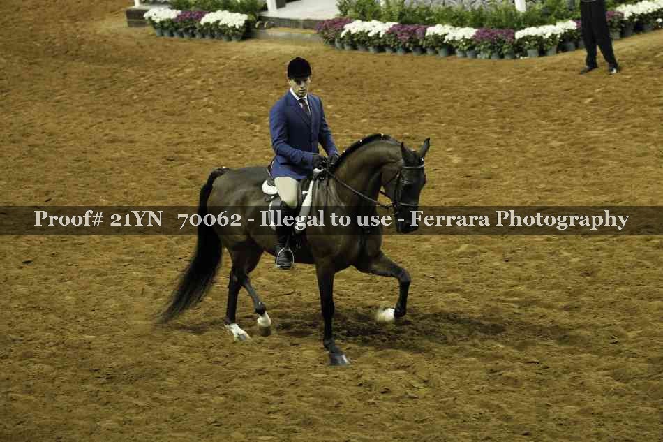 Proof Number 21YN_70062