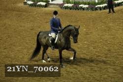 21YN_70062 thumbnail