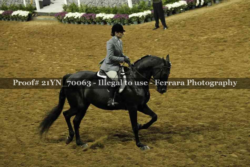 Proof Number 21YN_70063