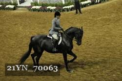 21YN_70063 thumbnail