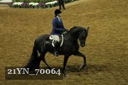 21YN_70064 thumbnail