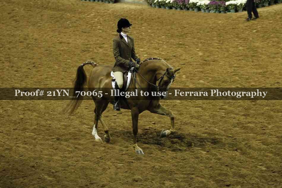 Proof Number 21YN_70065