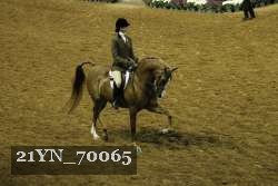 21YN_70065 thumbnail