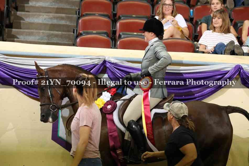 Proof Number 21YN_70094