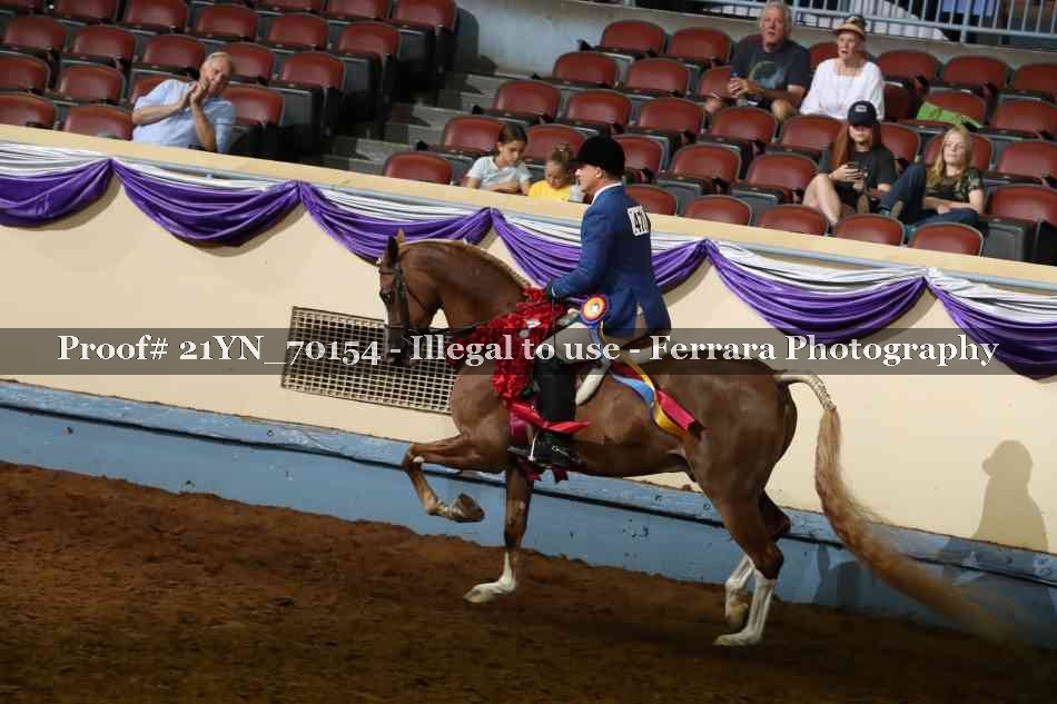 Proof Number 21YN_70154