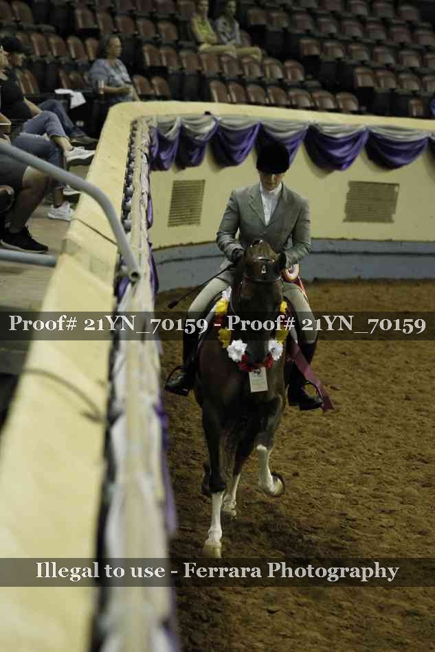 Proof Number 21YN_70159