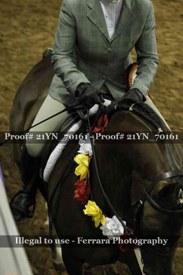 Proof Number 21YN_70161