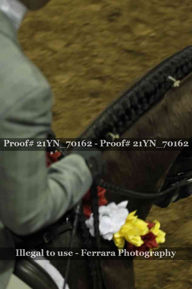 Proof Number 21YN_70162