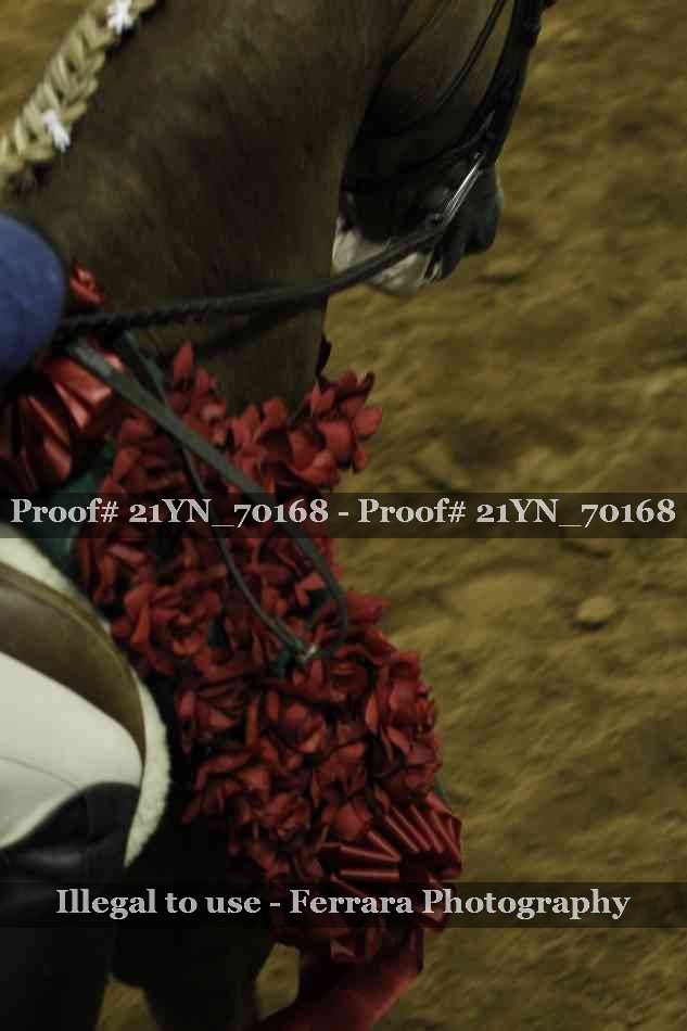 Proof Number 21YN_70168