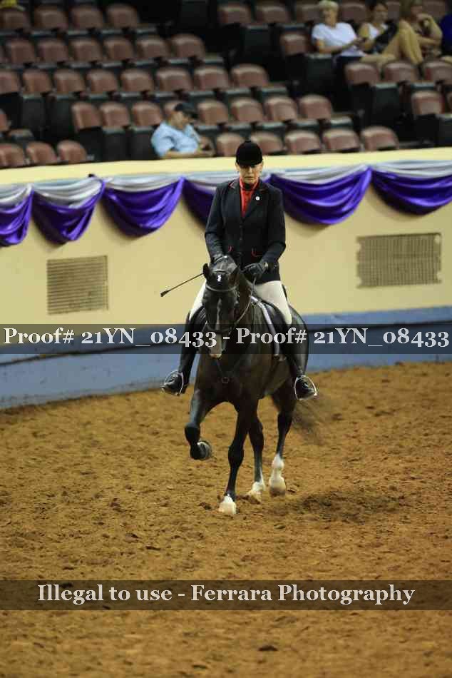 Proof Number 21YN_08433