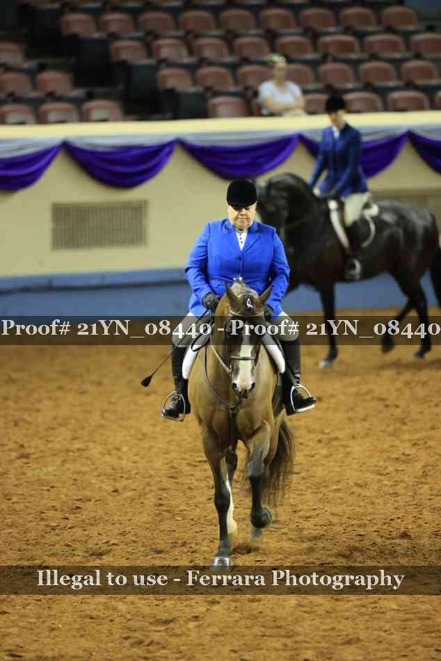 Proof Number 21YN_08440