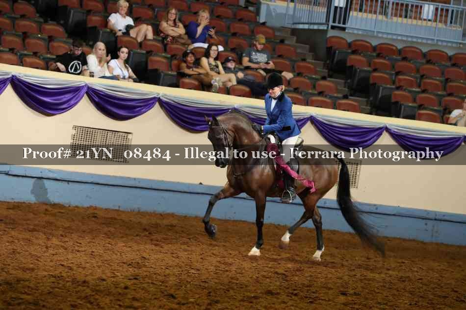 Proof Number 21YN_08484