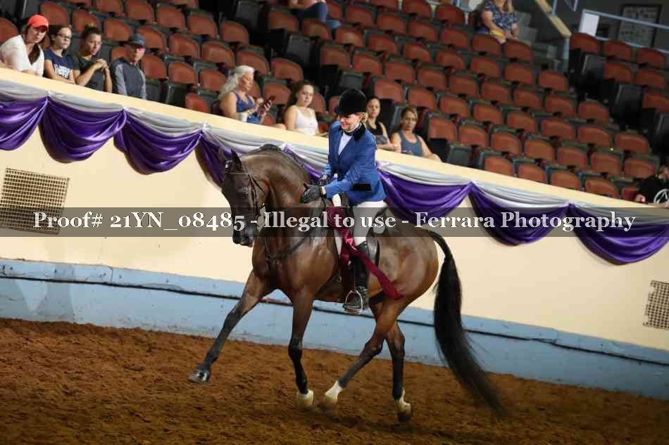 Proof Number 21YN_08485