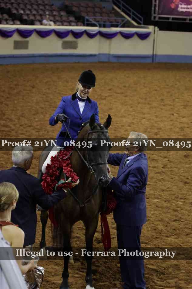 Proof Number 21YN_08495