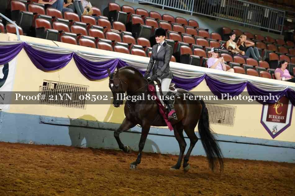 Proof Number 21YN_08502