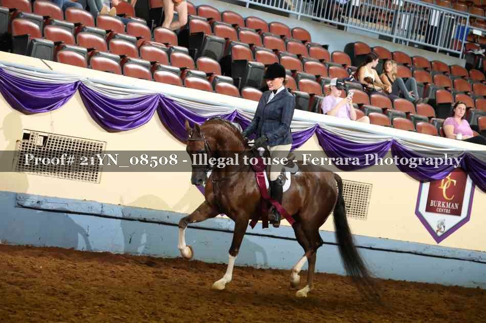 Proof Number 21YN_08508