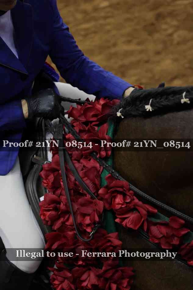 Proof Number 21YN_08514