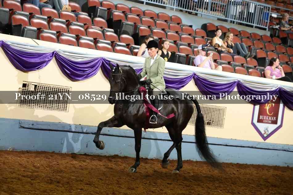 Proof Number 21YN_08529