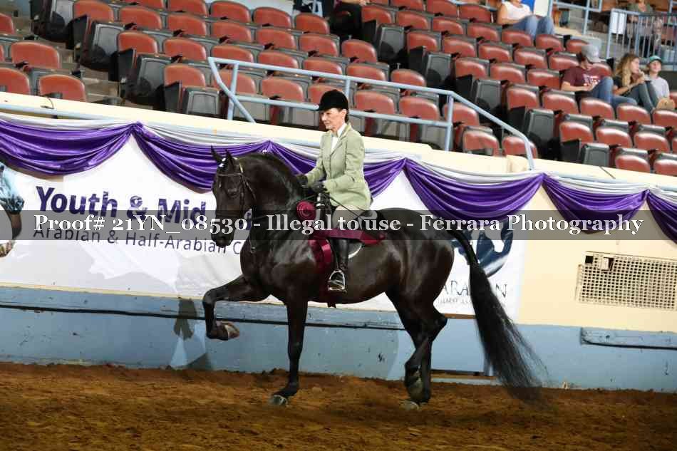 Proof Number 21YN_08530