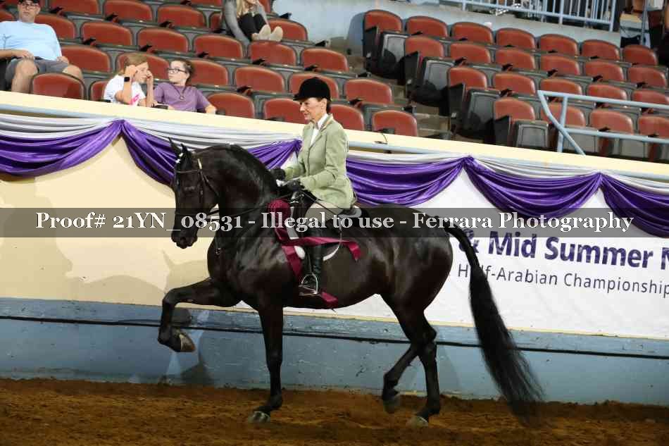 Proof Number 21YN_08531