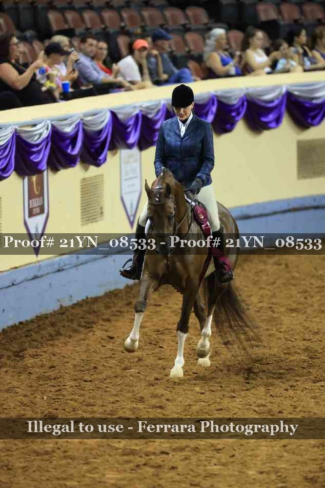 Proof Number 21YN_08533