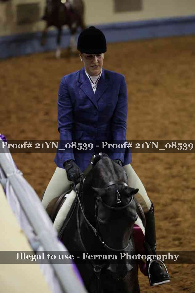Proof Number 21YN_08539
