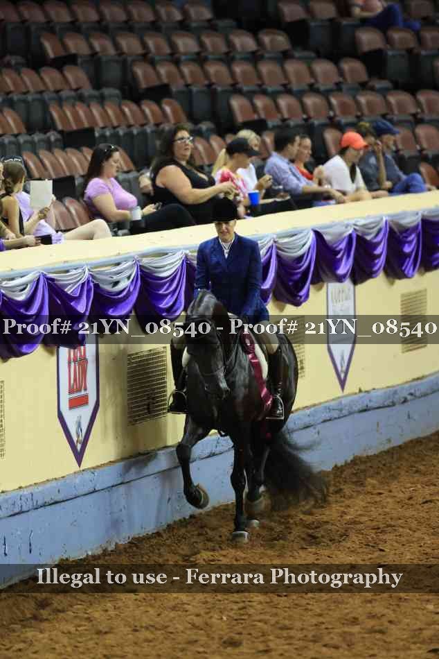 Proof Number 21YN_08540