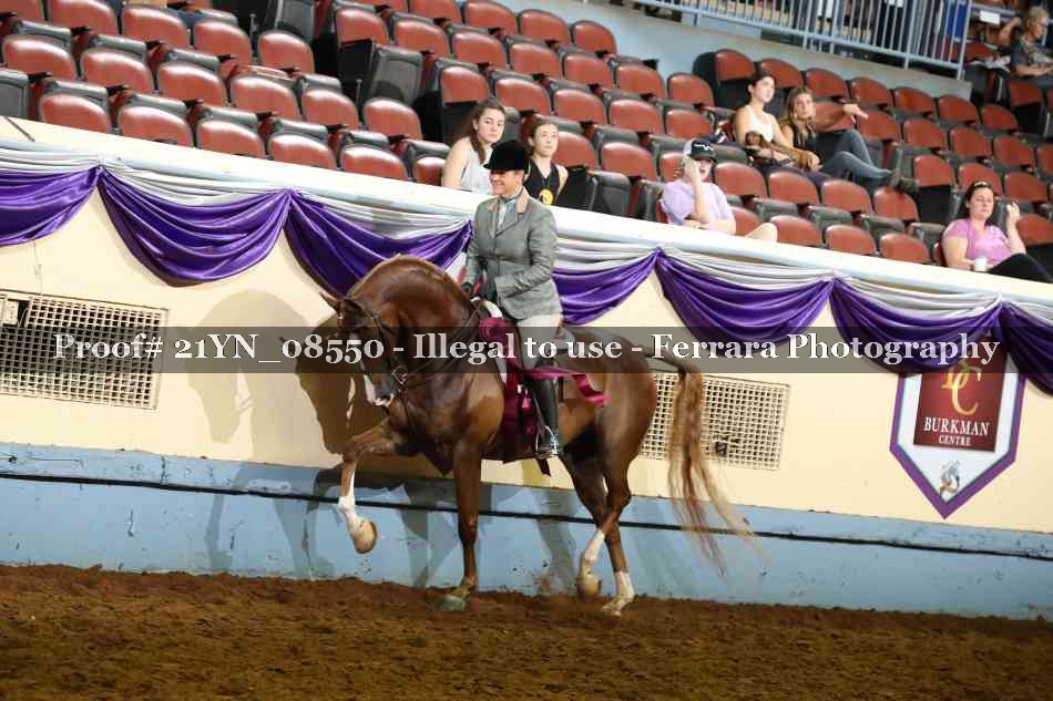 Proof Number 21YN_08550