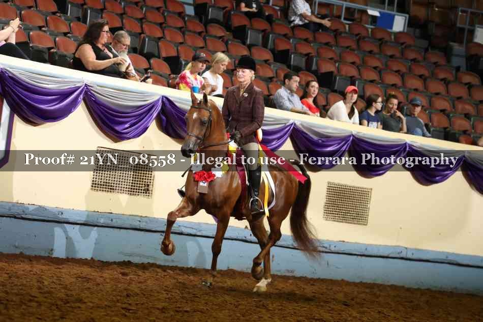 Proof Number 21YN_08558