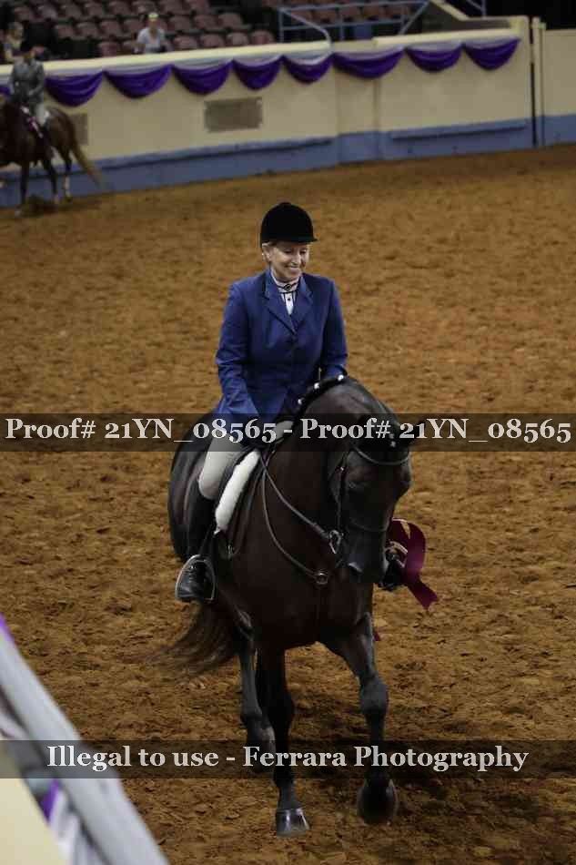 Proof Number 21YN_08565