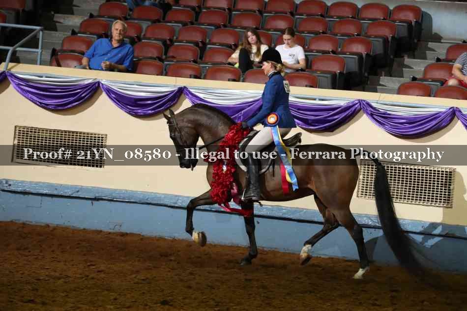 Proof Number 21YN_08580