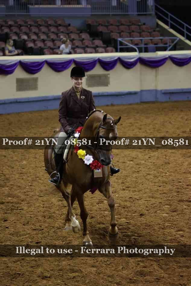 Proof Number 21YN_08581