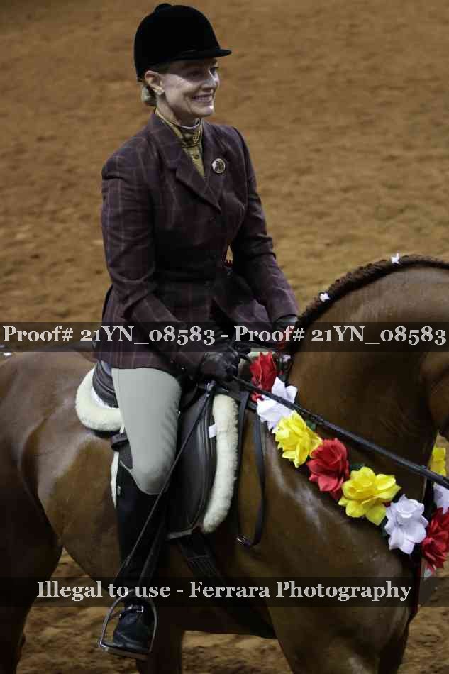 Proof Number 21YN_08583