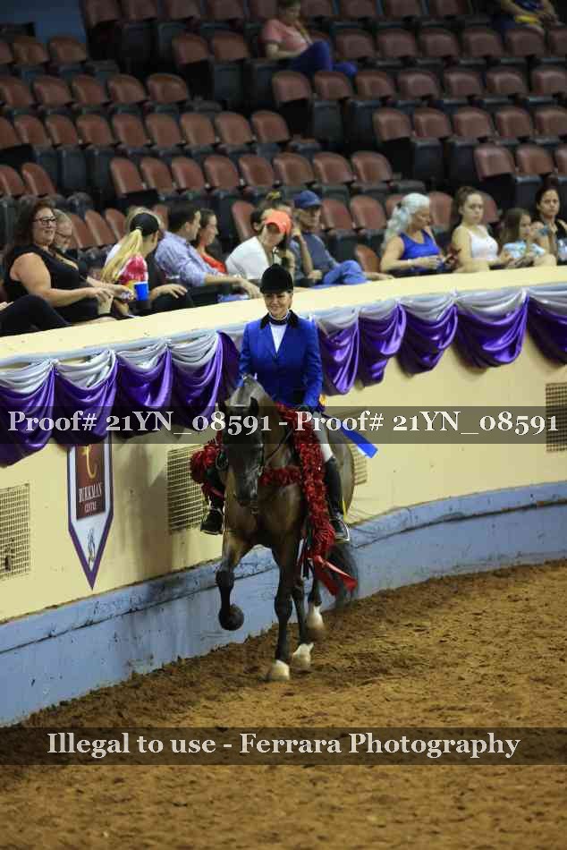 Proof Number 21YN_08591