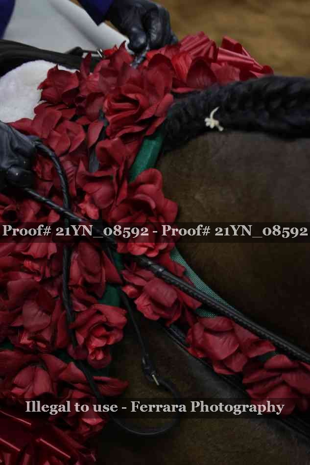 Proof Number 21YN_08592