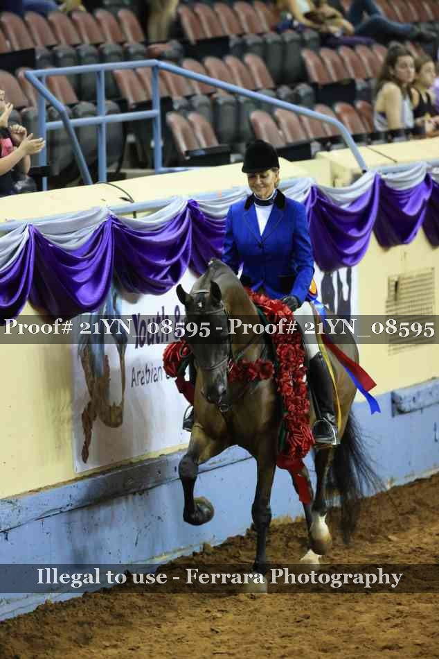 Proof Number 21YN_08595