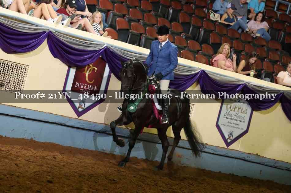 Proof Number 21YN_48450