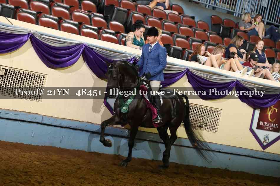Proof Number 21YN_48451
